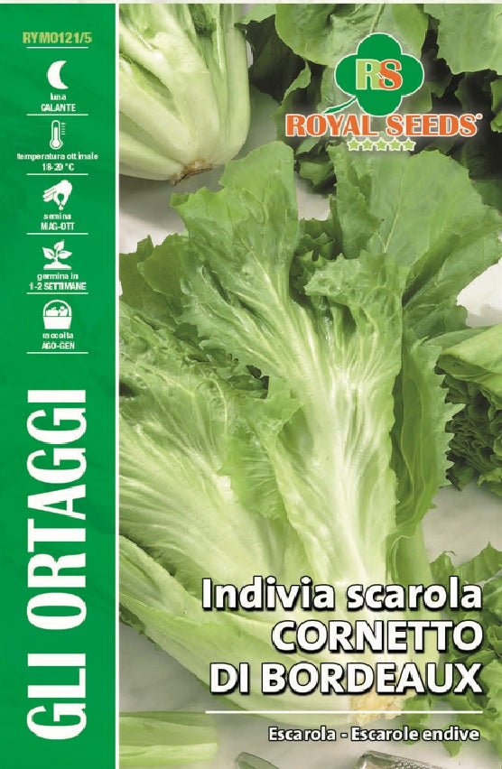 Escarole Endive- Royal Seed RYM121/5 Garden Plus