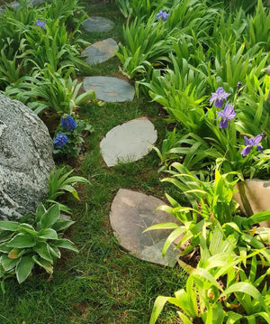 Leaves Non-Slip Stepping Stone Garden Plus