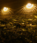 Solar Wall Lamp Garden Plus