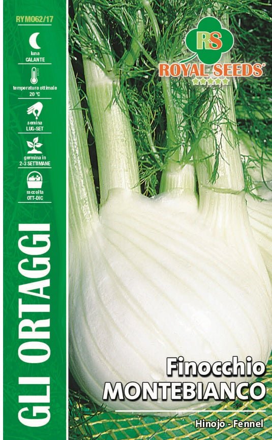 Fennel Montebianco - Royal Seed RYMO62/17 Garden Plus