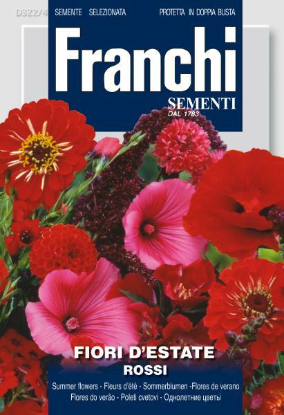 Fiori Rossi - Red Annual Flowers - Franchi Garden Plus