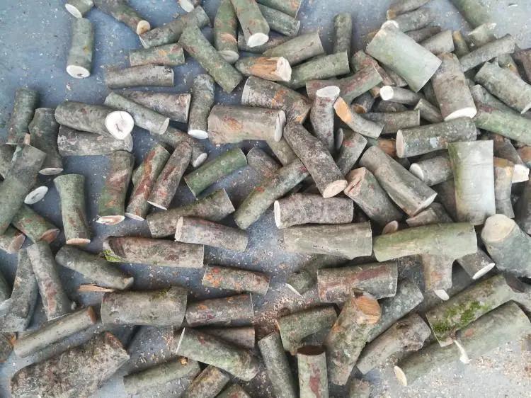 Firewood Garden Plus