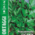 Flat leaf Parsley - Royal Seed RYMO108/2 Garden Plus