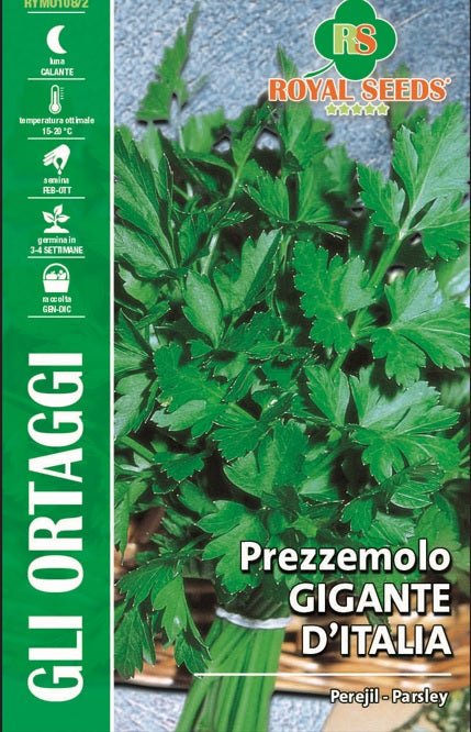 Flat leaf Parsley - Royal Seed RYMO108/2