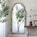 French Style Retro Full-Length Wall Hanging Mirror Garden Plus