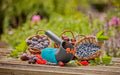 Gardena Combisystem Berry Picker Garden Plus