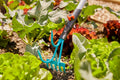 Gardena Combisystem Grubber-Rake Garden Plus