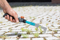 Gardena Combisystem Patio Weeder Garden Plus