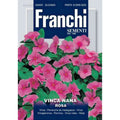 Vinca Nano - Franchi Garden Plus
