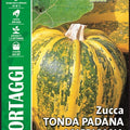 Pumpkin Tonda Padana - Royal Seed RYMO145/13 - COD.424 Garden Plus