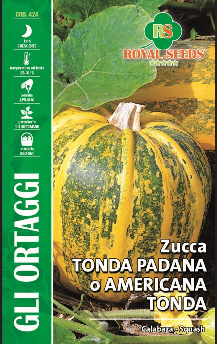 Pumpkin Tonda Padana - Royal Seed RYMO145/13 - COD.424