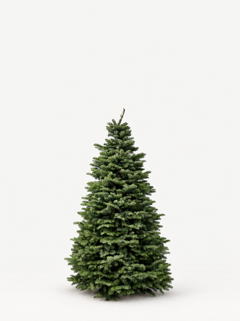 Fresh-cut Noble Fir tree — 4–5 ft